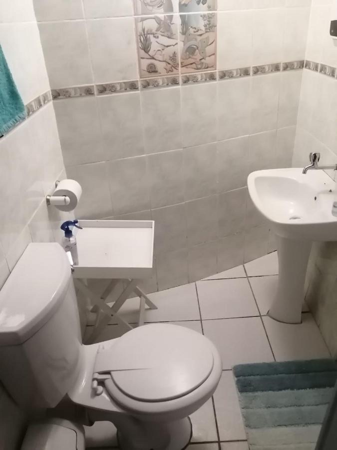 36 Mount Road Guesthouse And Self Catering Πορτ Ελίζαμπεθ Εξωτερικό φωτογραφία